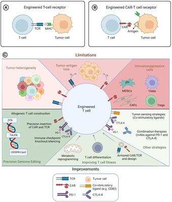 Editorial: Engineered immune cells in cancer immunotherapy (EICCI)